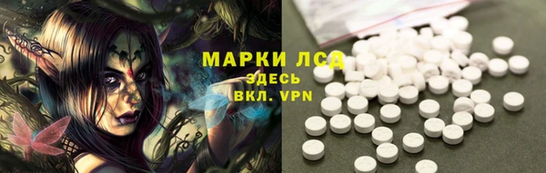 эйфоретик Аркадак