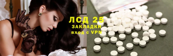 эйфоретик Аркадак