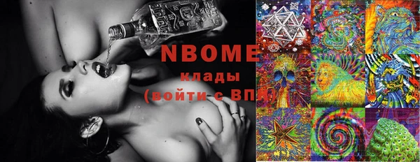 мдпв Карпинск