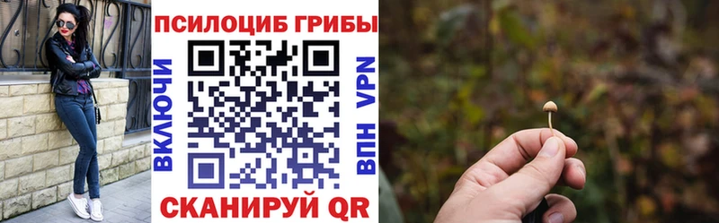 даркнет сайт  МЕГА сайт  Галлюциногенные грибы Psilocybine cubensis  Ленинск-Кузнецкий 